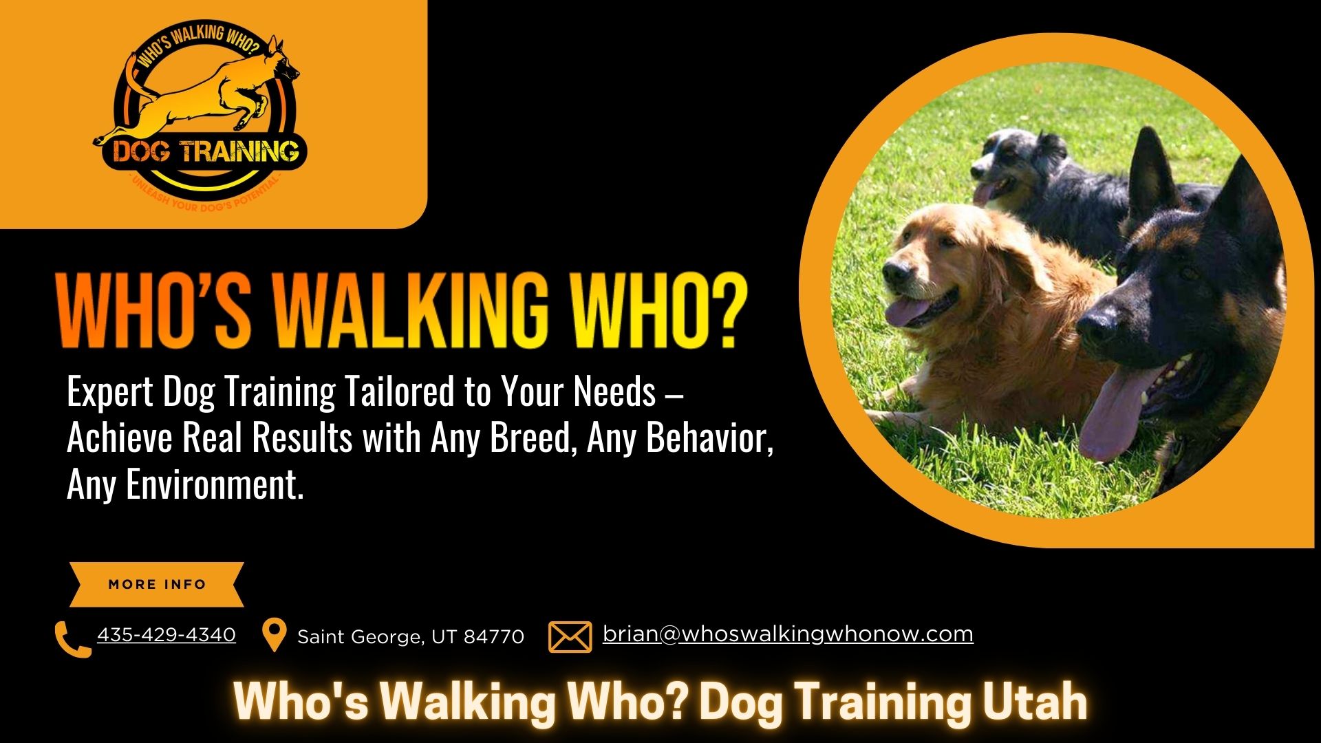 Who’s Walking Who? Dog Training Utah