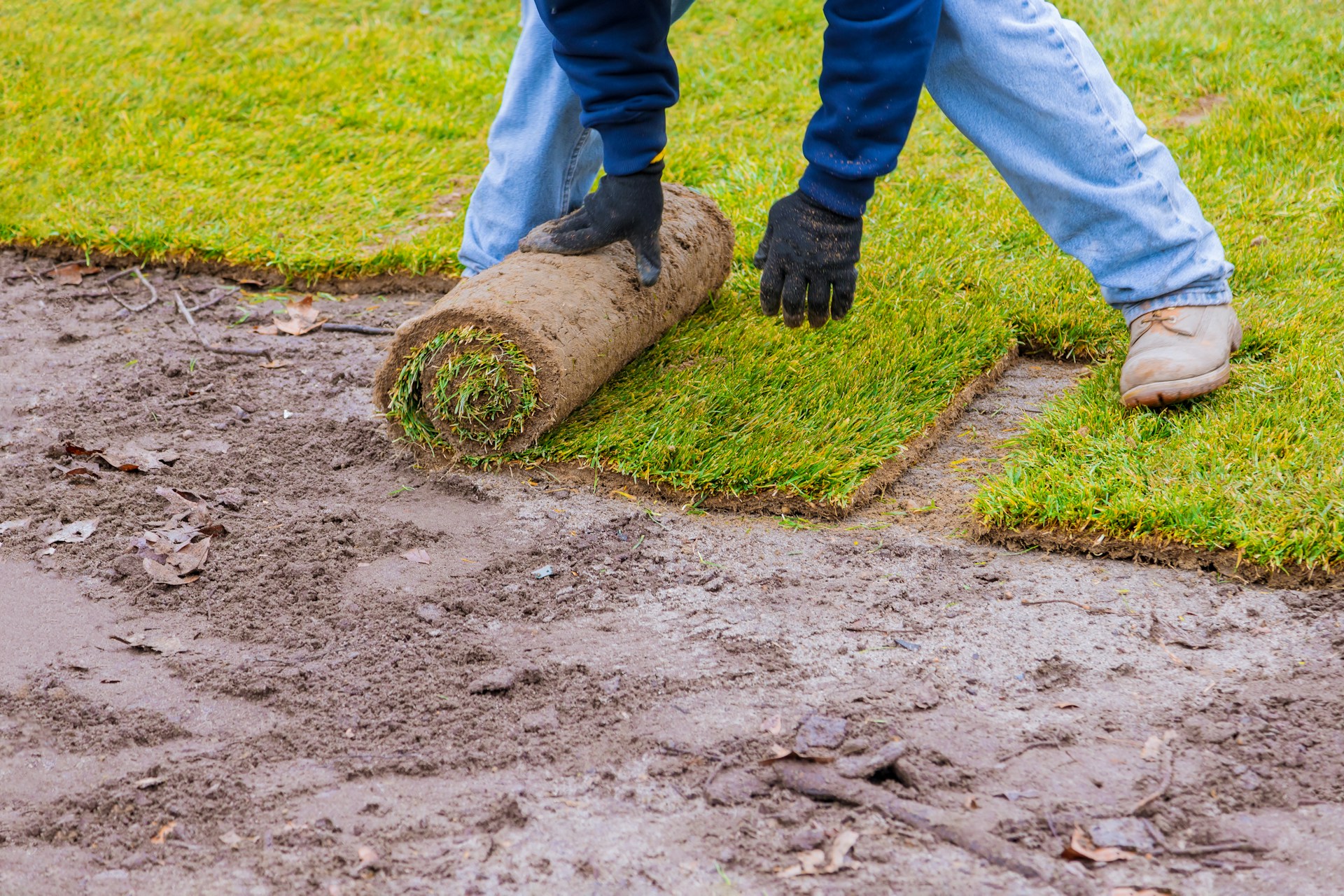 How to Prevent Soil Compaction After Sod Installation