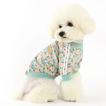How to Choose Right Pet Wear from a Reliable Pet Supplies