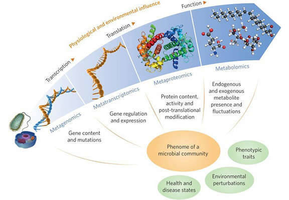 Integrating Multi-omics Analysis of Microbial Sequencing